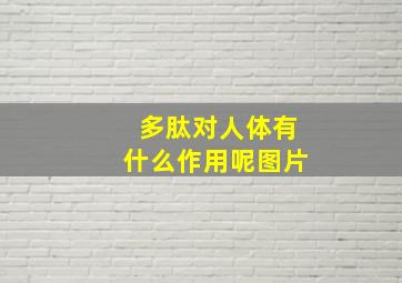 多肽对人体有什么作用呢图片