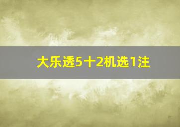 大乐透5十2机选1注