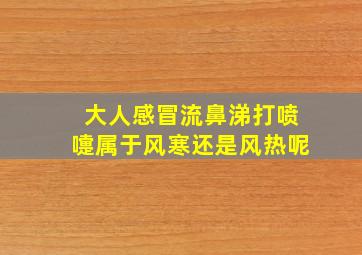 大人感冒流鼻涕打喷嚏属于风寒还是风热呢