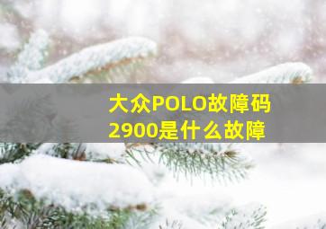 大众POLO故障码2900是什么故障