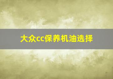 大众cc保养机油选择