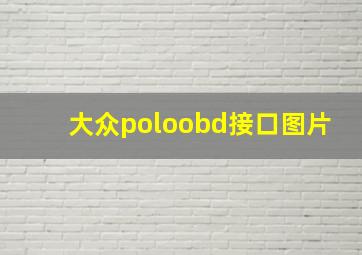 大众poloobd接口图片