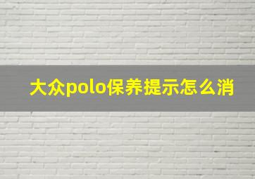 大众polo保养提示怎么消