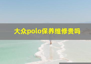 大众polo保养维修贵吗