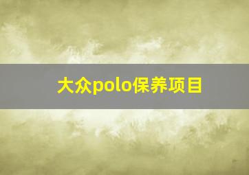 大众polo保养项目