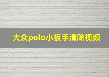 大众polo小扳手清除视频