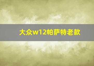 大众w12帕萨特老款