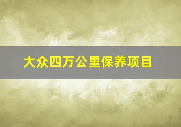 大众四万公里保养项目