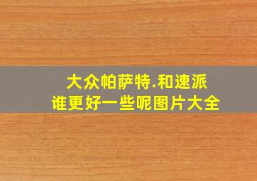 大众帕萨特.和速派谁更好一些呢图片大全