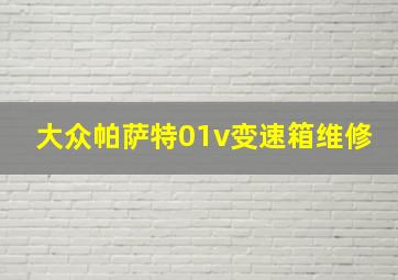 大众帕萨特01v变速箱维修