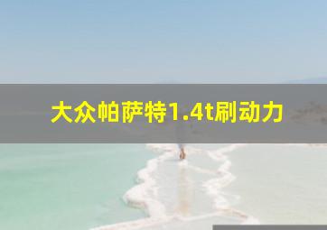 大众帕萨特1.4t刷动力