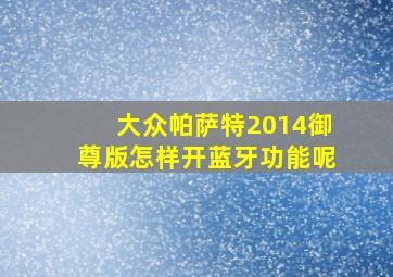 大众帕萨特2014御尊版怎样开蓝牙功能呢