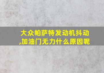 大众帕萨特发动机抖动,加油门无力什么原因呢