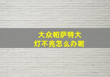 大众帕萨特大灯不亮怎么办呢