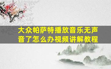 大众帕萨特播放音乐无声音了怎么办视频讲解教程