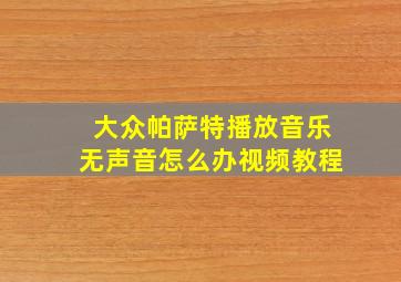 大众帕萨特播放音乐无声音怎么办视频教程