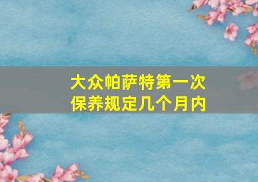 大众帕萨特第一次保养规定几个月内