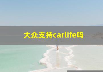 大众支持carlife吗