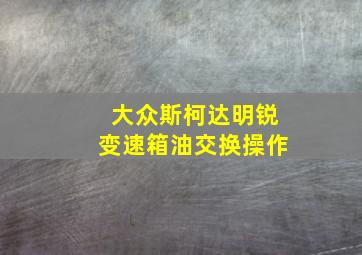 大众斯柯达明锐变速箱油交换操作