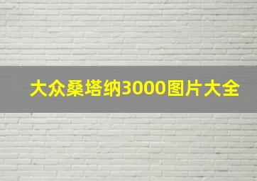 大众桑塔纳3000图片大全