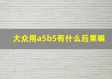 大众用a5b5有什么后果嘛