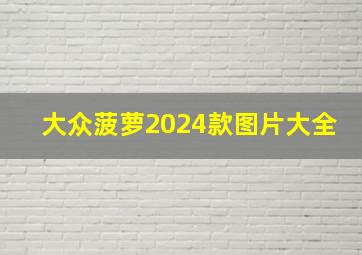 大众菠萝2024款图片大全