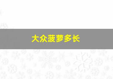 大众菠萝多长