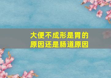 大便不成形是胃的原因还是肠道原因