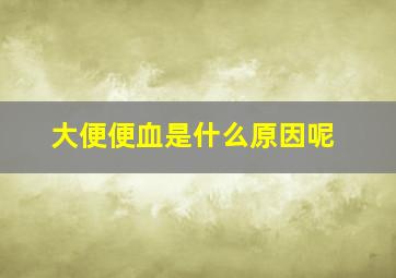 大便便血是什么原因呢