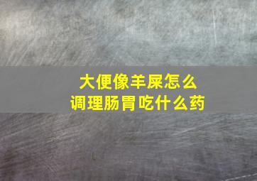 大便像羊屎怎么调理肠胃吃什么药