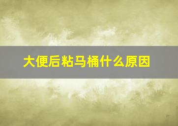 大便后粘马桶什么原因