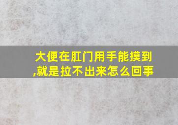 大便在肛门用手能摸到,就是拉不出来怎么回事