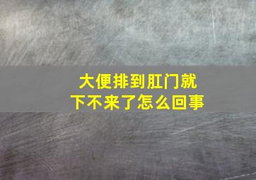 大便排到肛门就下不来了怎么回事