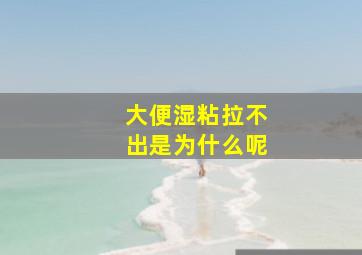 大便湿粘拉不出是为什么呢