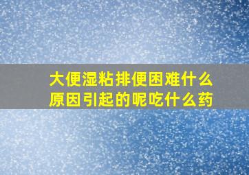 大便湿粘排便困难什么原因引起的呢吃什么药