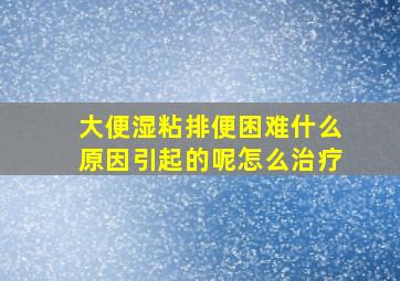 大便湿粘排便困难什么原因引起的呢怎么治疗