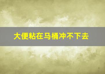 大便粘在马桶冲不下去