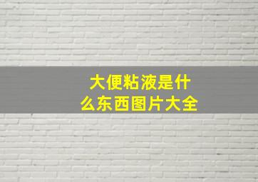 大便粘液是什么东西图片大全