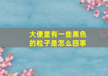 大便里有一些黑色的粒子是怎么回事