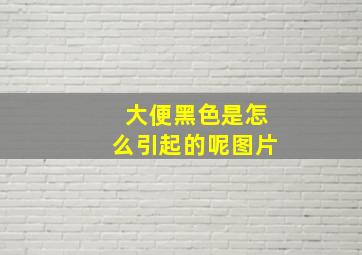 大便黑色是怎么引起的呢图片