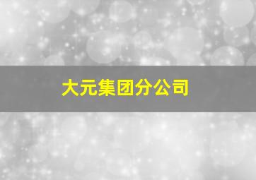 大元集团分公司