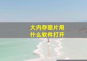 大内存图片用什么软件打开