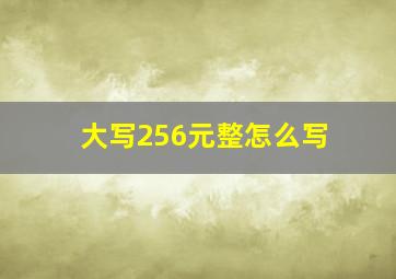 大写256元整怎么写