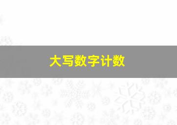 大写数字计数