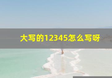 大写的12345怎么写呀