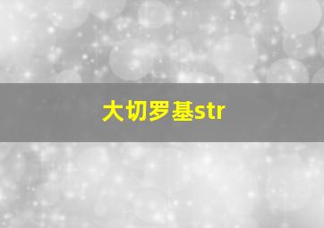 大切罗基str