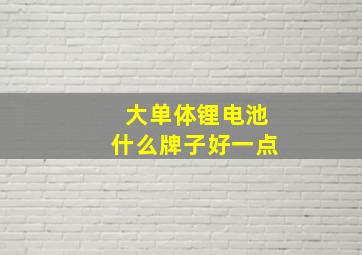 大单体锂电池什么牌子好一点