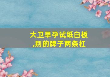 大卫早孕试纸白板,别的牌子两条杠