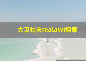 大卫杜夫malawi烟草