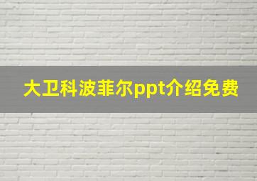 大卫科波菲尔ppt介绍免费